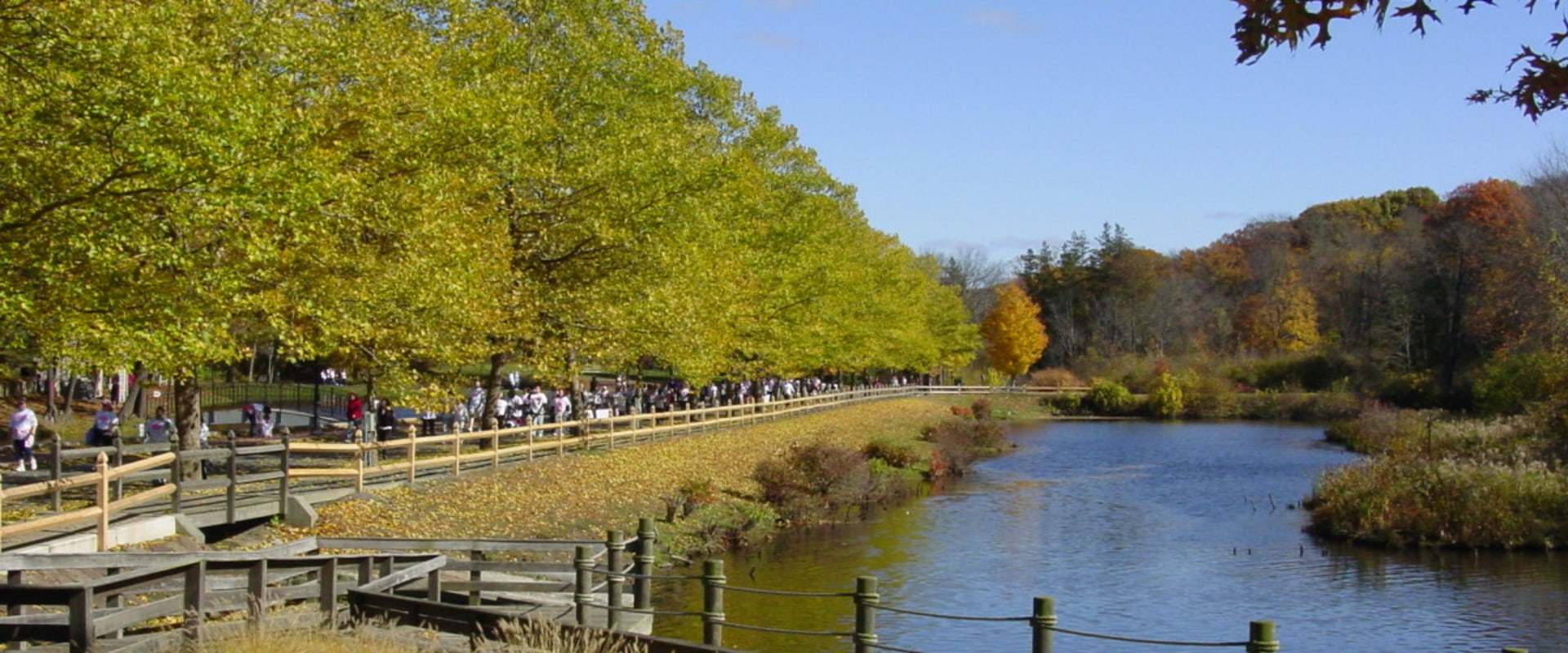 The Benefits of Doing Business in Springfield, Massachusetts