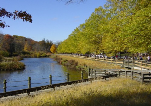 The Benefits of Doing Business in Springfield, Massachusetts